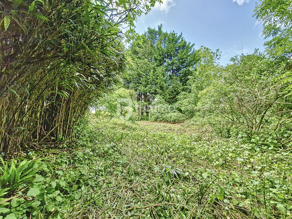 Photo 16 : Longère de 3 pièces, 80 m² à Plomodiern 29550