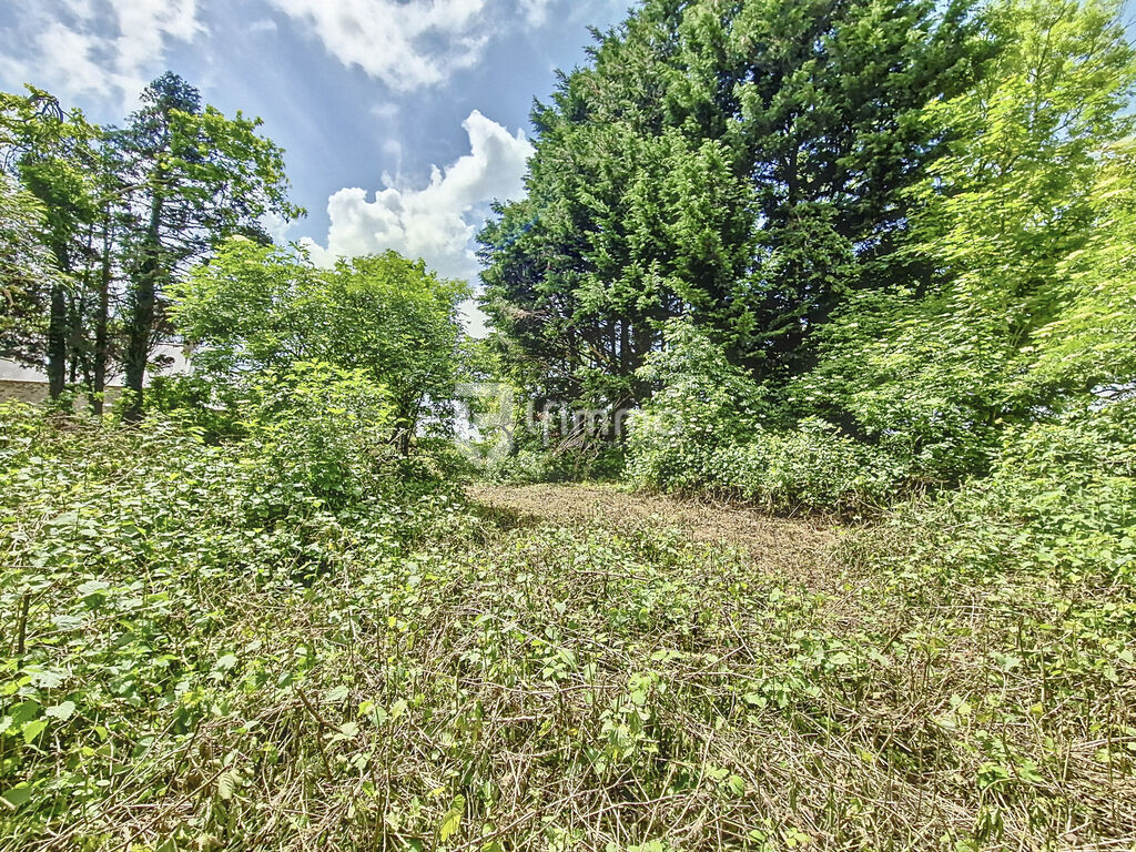 Photo 17 : Longère de 3 pièces, 80 m² à Plomodiern 29550