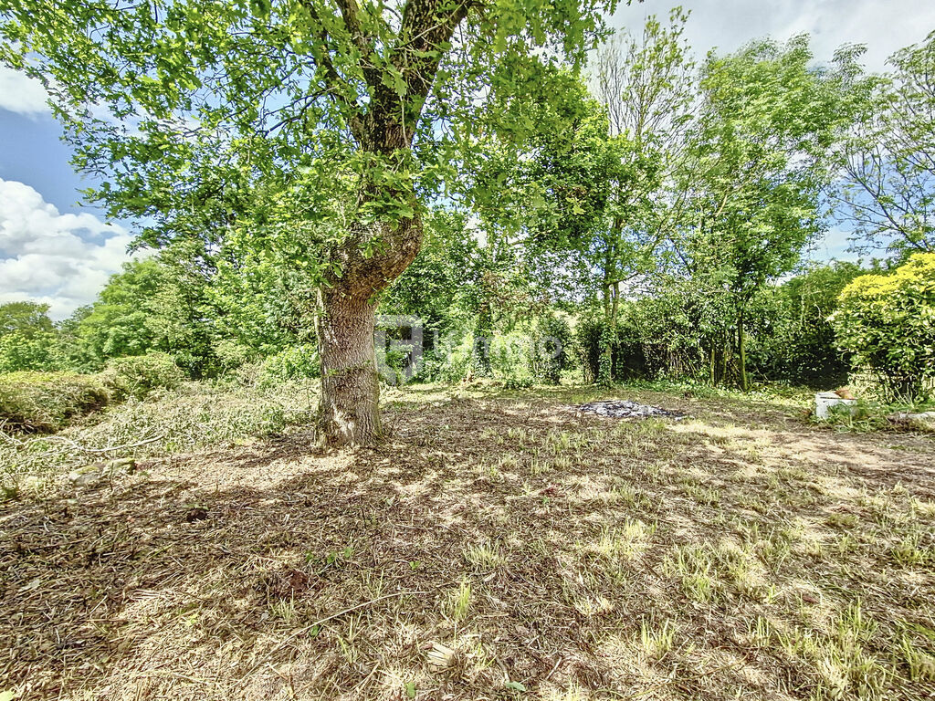 Photo 7 : Longère de 3 pièces, 80 m² à Plomodiern 29550