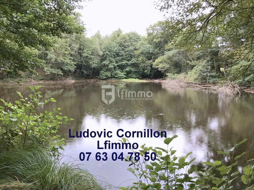 Photo 15 : Propriété de charme 210m2, grange, 4ha, 2 étangs