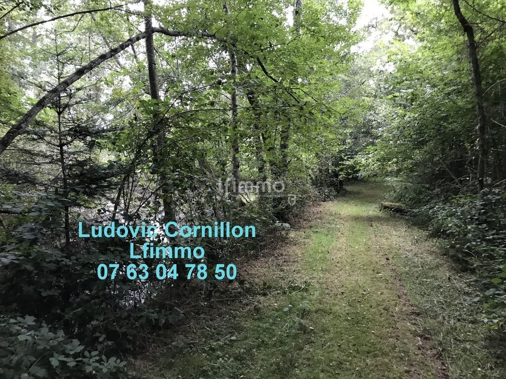 Photo 19 : Propriété de charme 210m2, grange, 4ha, 2 étangs