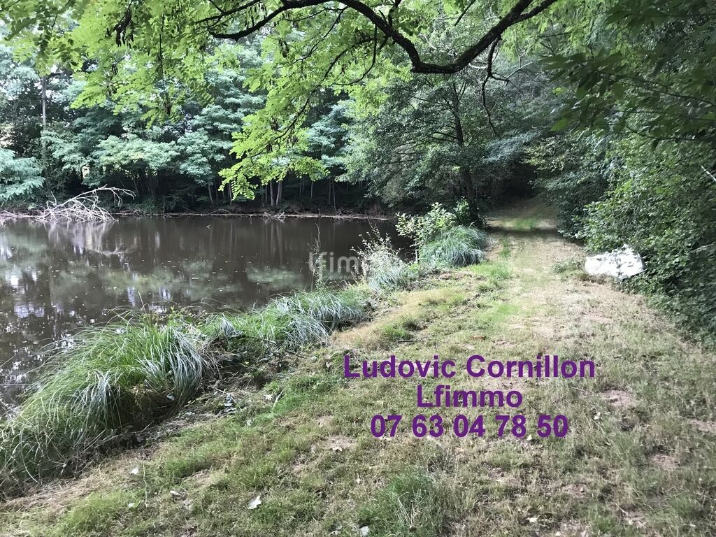 Photo 20 : Propriété de charme 210m2, grange, 4ha, 2 étangs