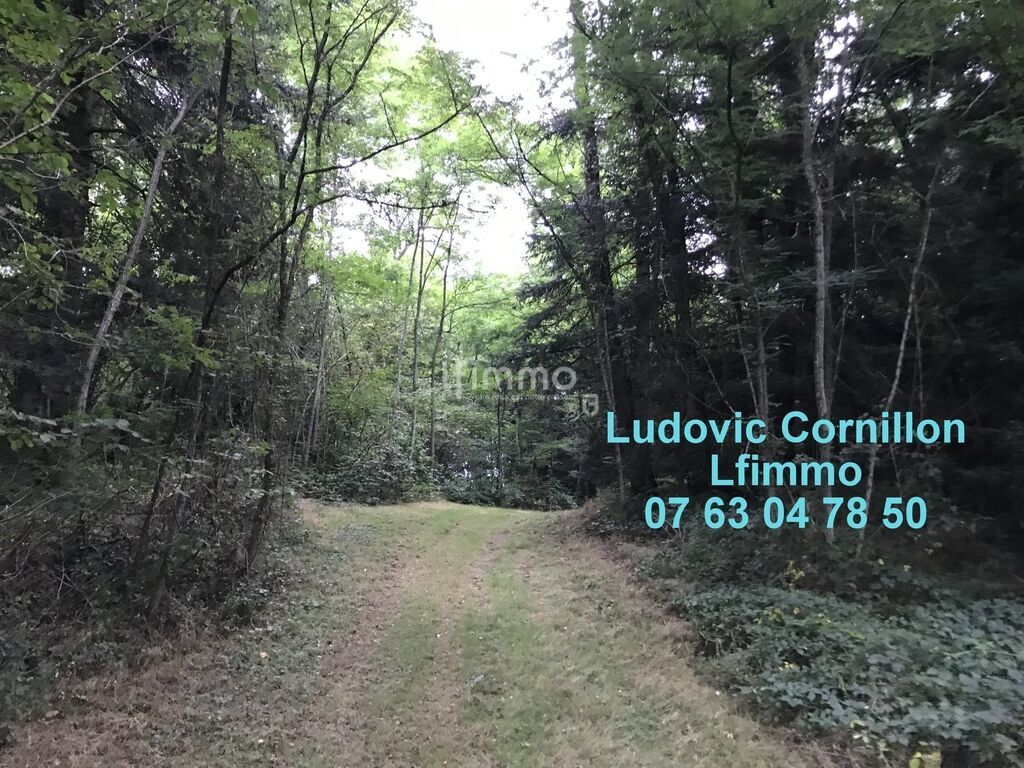 Photo 21 : Propriété de charme 210m2, grange, 4ha, 2 étangs