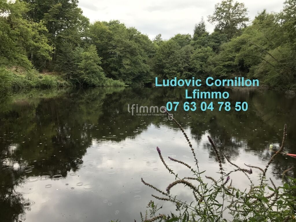 Photo 6 : Propriété de charme 210m2, grange, 4ha, 2 étangs