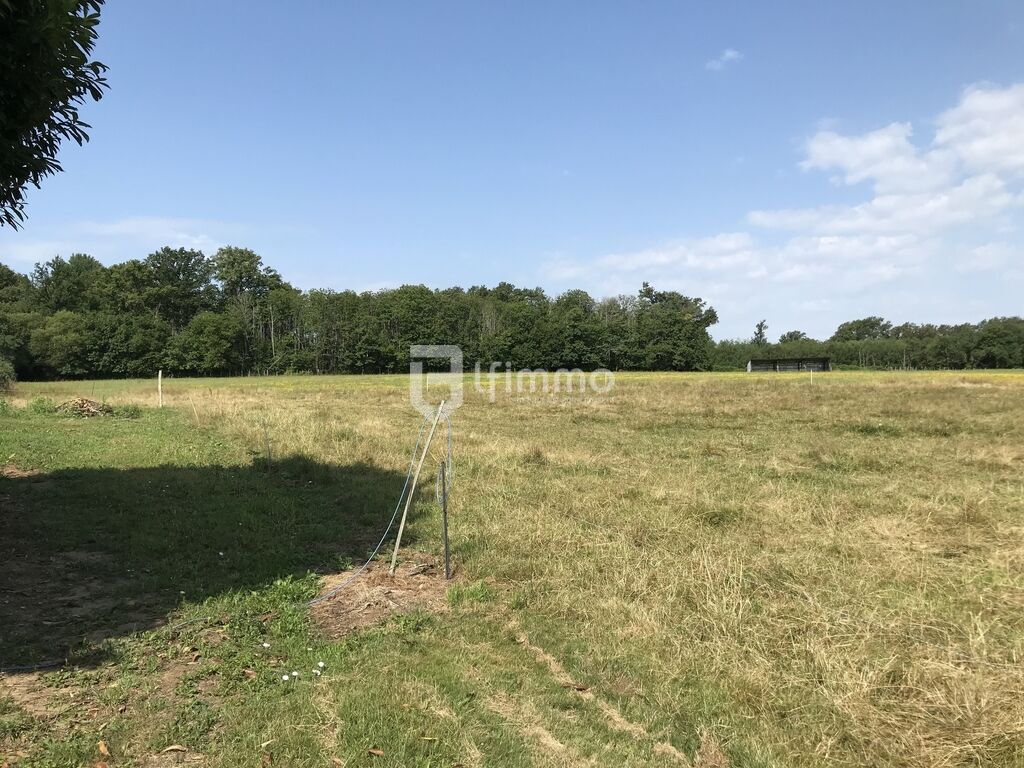 Photo 17 : Propriété orientée chevaux : 154m2, 10ha, hangar