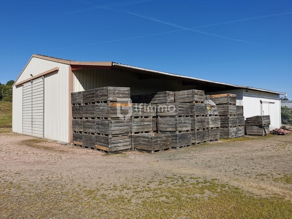 Photo 18 : Propriété orientée chevaux : 154m2, 10ha, hangar