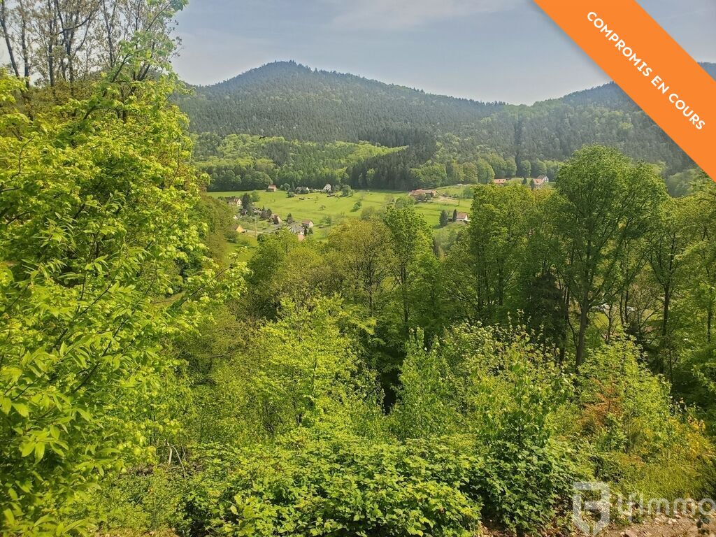 Photo 3 : Un havre de paix dans un écrin de verdure