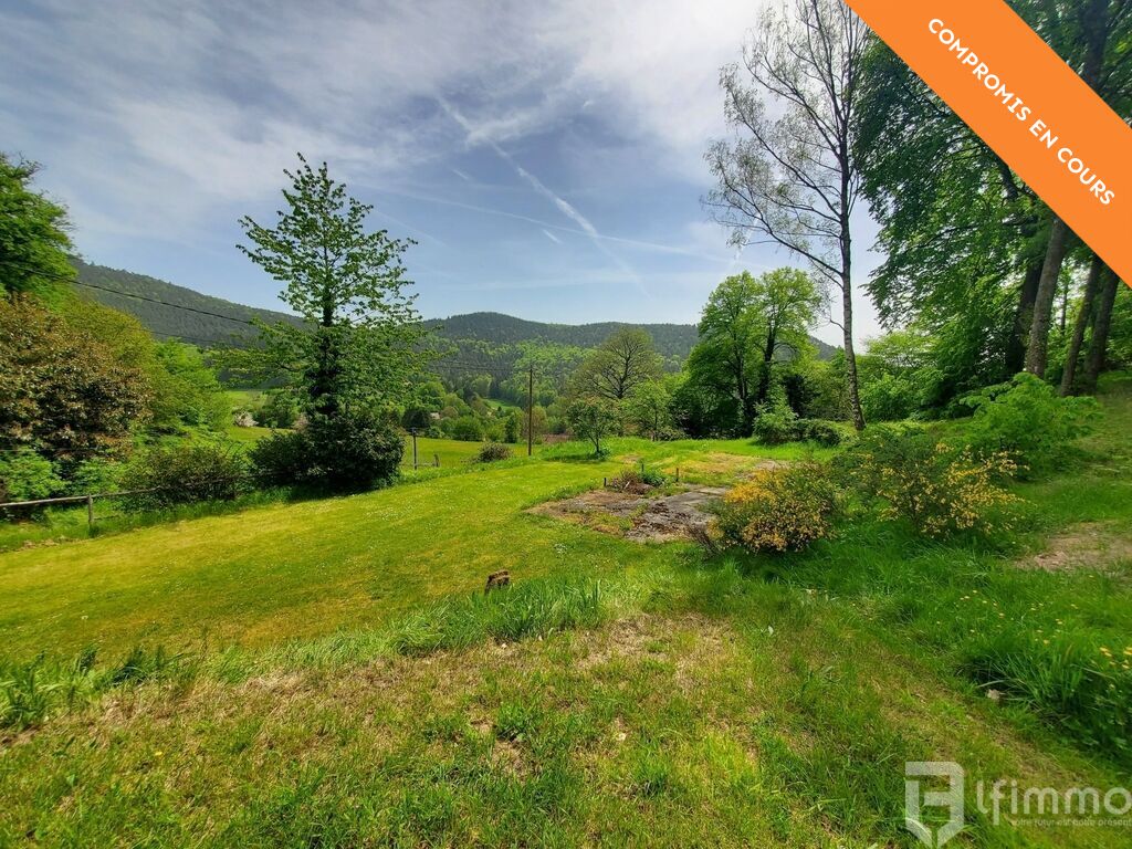 Photo 4 : Un havre de paix dans un écrin de verdure