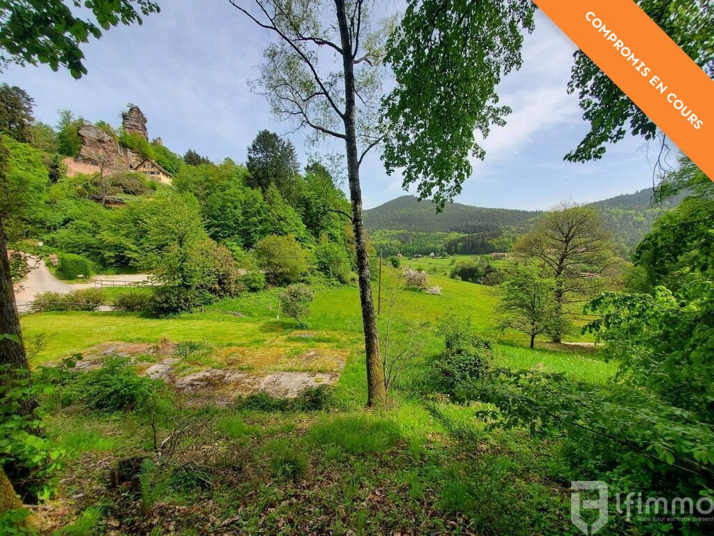Photo 5 : Un havre de paix dans un écrin de verdure