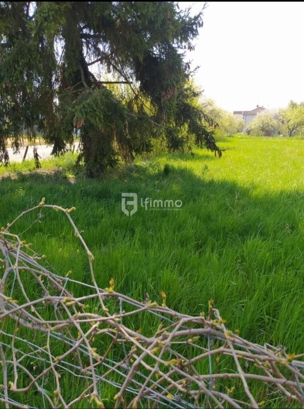 Photo 2 : Terrain de construction 1000 m²