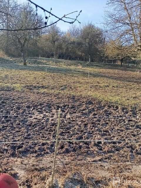 Photo 9 : Maison de village