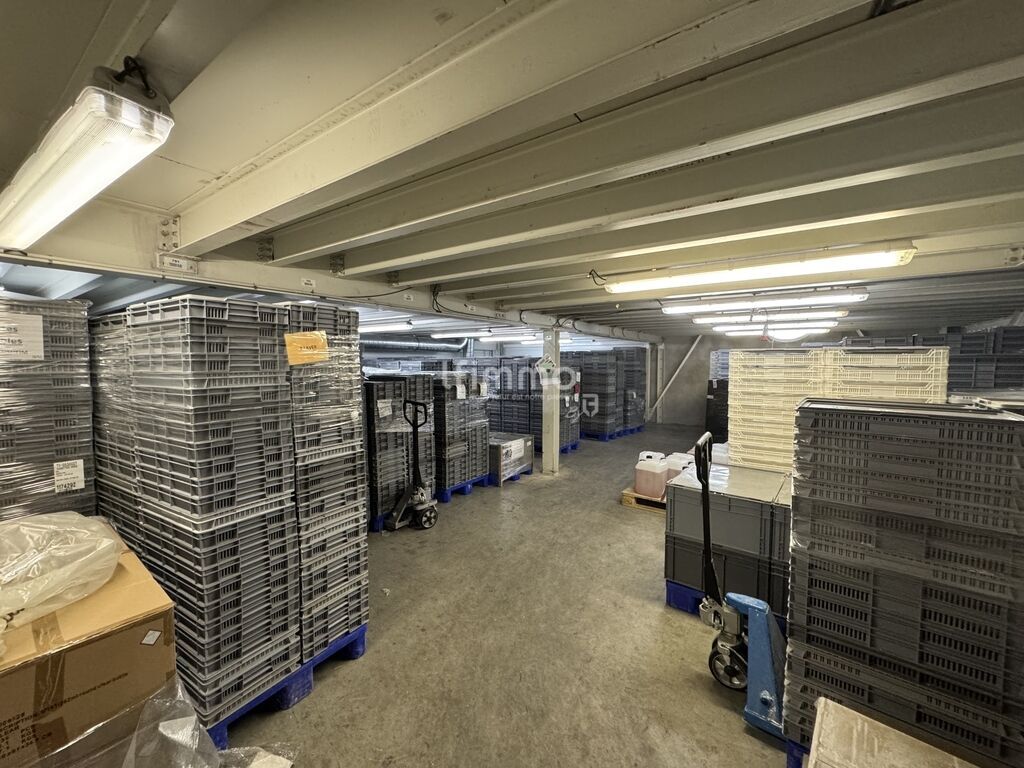 Photo 13 : Ensemble immobilier industriel à Wittenheim (68270) - Haut-Rhin