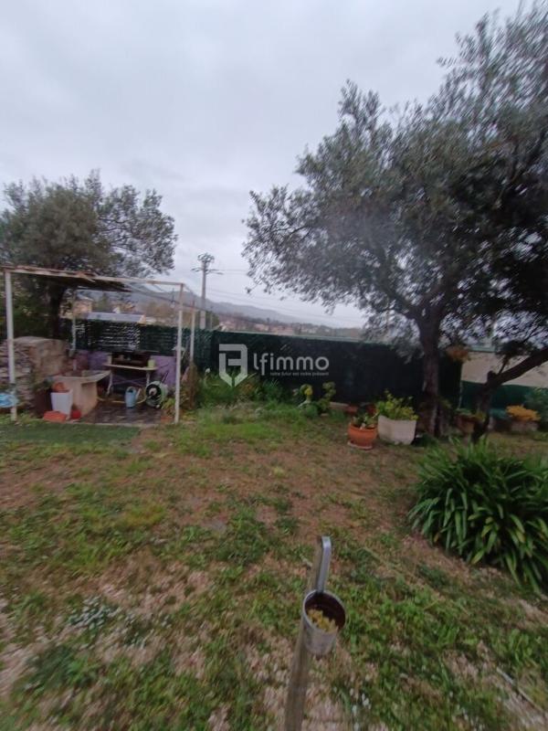 Photo 21 : Maison et terrain