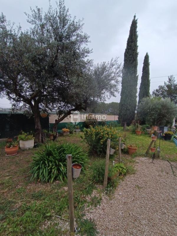 Photo 25 : Maison et terrain