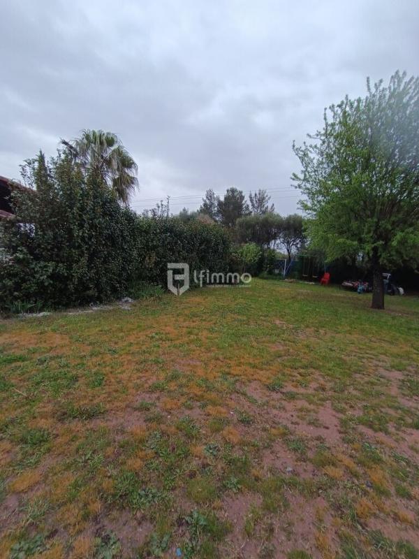 Photo 28 : Maison et terrain