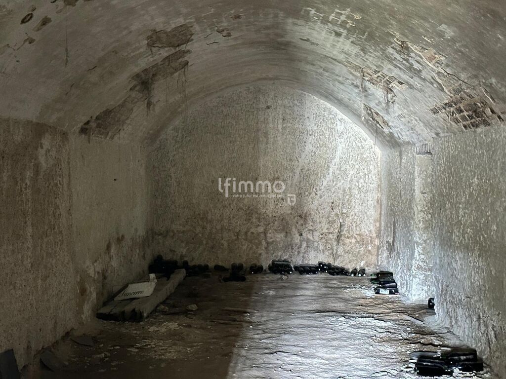 Photo 4 : Cave Troglodyte à Montoire 41