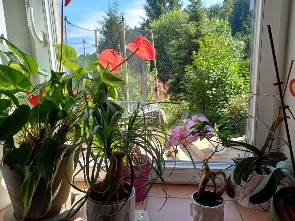 Photo 20 : Rez-de-jardin 118m² de plain-pied