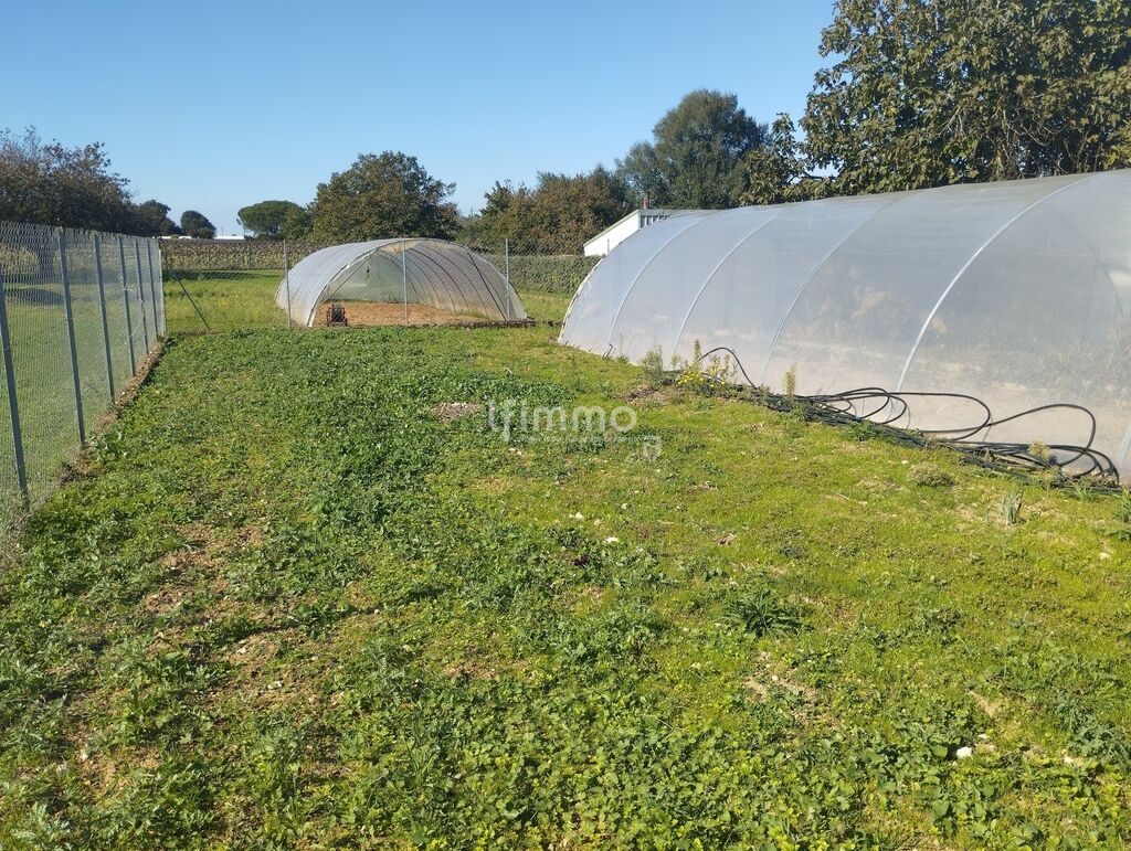 Photo 7 : Maison de 114m2 à Balanzac