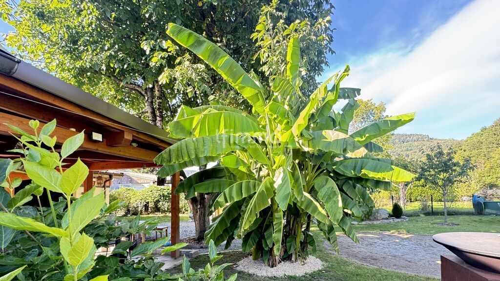 Photo 16 : Maison avec étang à Kruth