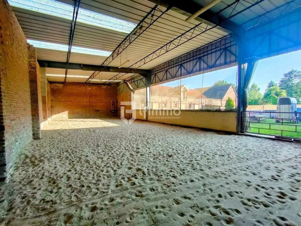 Photo 10 : Propriété équestre