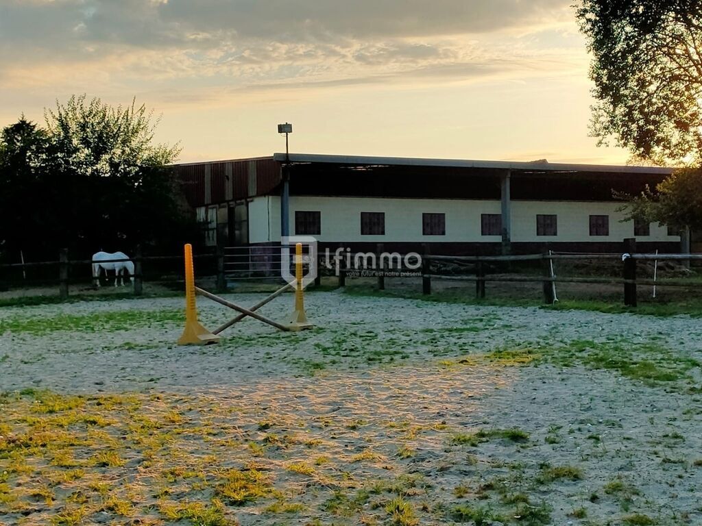 Photo 6 : Propriété équestre