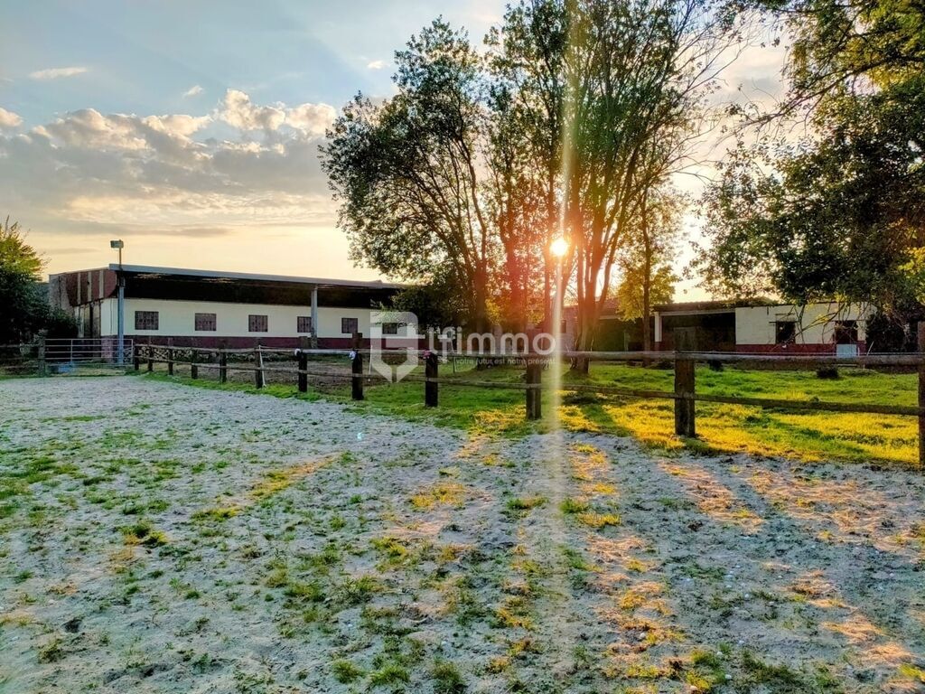 Photo 7 : Propriété équestre