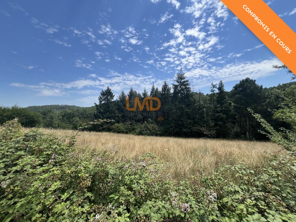 Photo 3 : Terrain constructible de 2 162m² – Mercuer