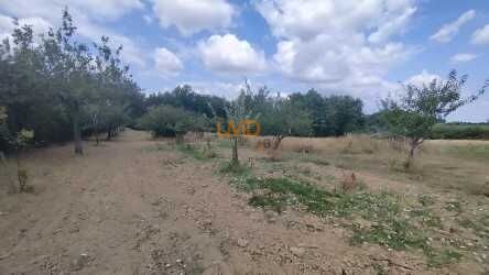 Photo 16 : Ferme rénovée 128 m2, plus 1ha de terrain