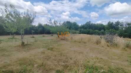 Photo 27 : Ferme rénovée 128 m2, plus 1ha de terrain