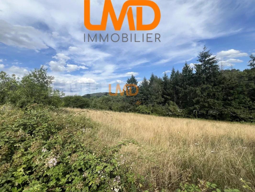 Photo 3 : Terrain constructible de 2 536 m² – Mercuer