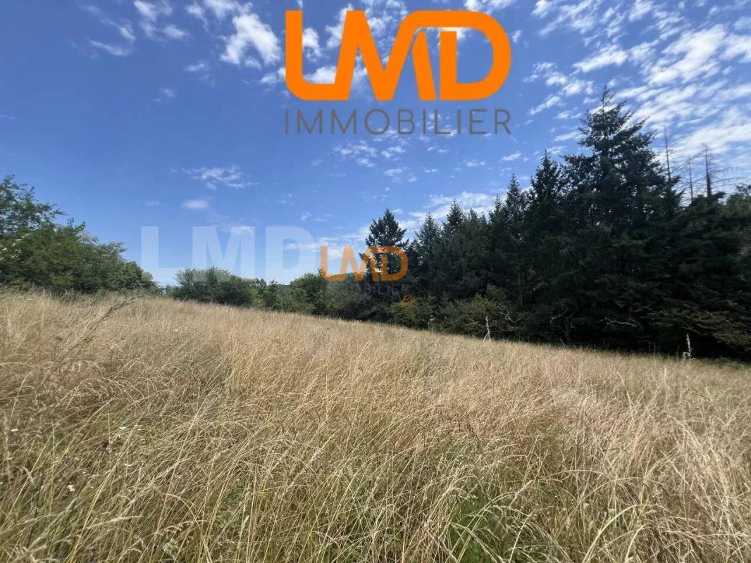 Photo 4 : Terrain constructible de 2 536 m² – Mercuer