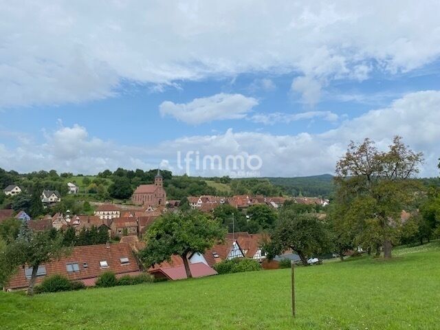 Photo 4 : Grande maison pres Woerth