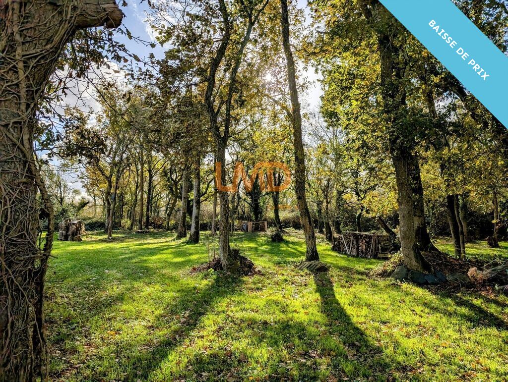 Photo 14 : Maison et Bois proche des plages