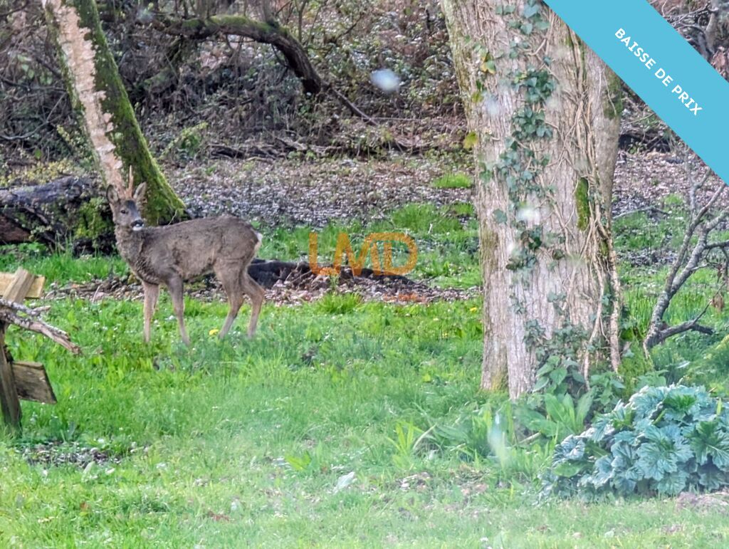 Photo 3 : Maison et Bois proche des plages