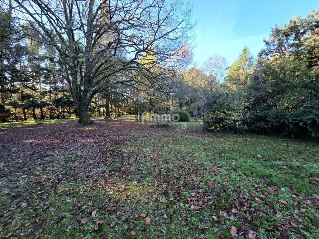 Photo 18 : 🏡 Grande maison familiale – 206 m² – Parcelle 17 457 m²