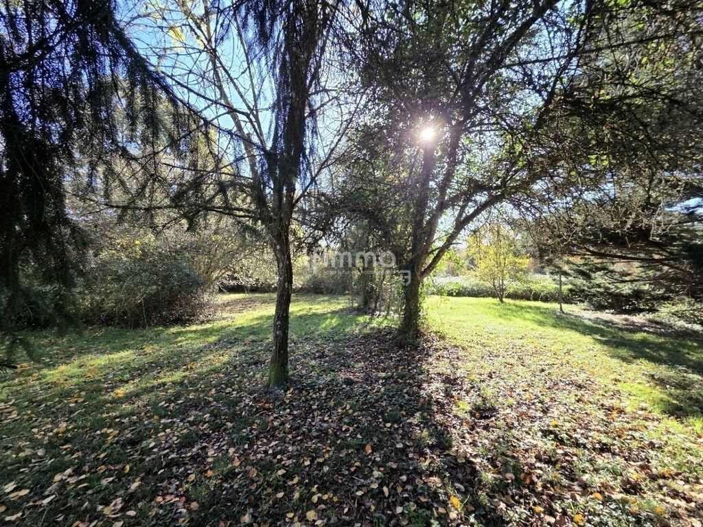 Photo 19 : 🏡 Grande maison familiale – 206 m² – Parcelle 17 457 m²