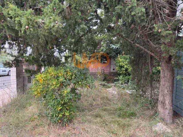 Photo 4 : Terrain Constructible à 500m de la mer à Sérignan