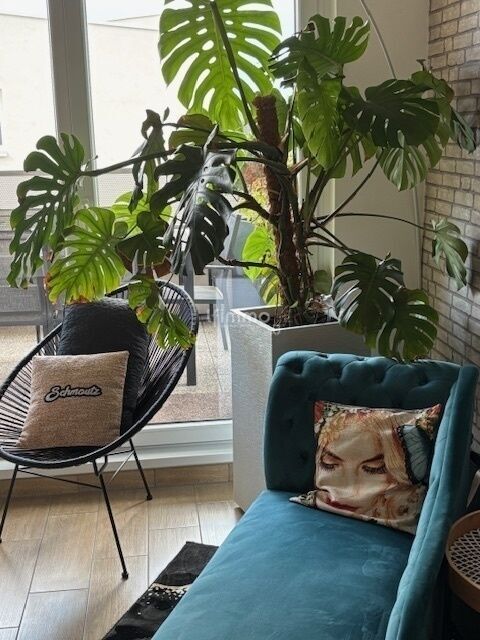 Photo 1 : Vous en avez rêvé...nous l avons trouvé pour vous !