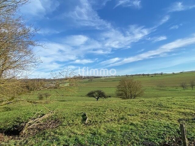 Photo 2 : Terrain à bâtir