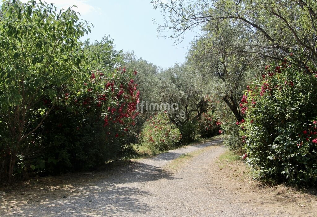 Photo 22 : Bastide du 18e entièrement rénovée
