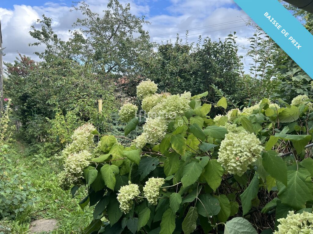 Photo 18 : Maison avec jardin et local commercial