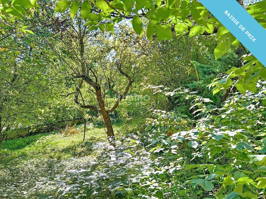 Photo 20 : Maison avec jardin et local commercial