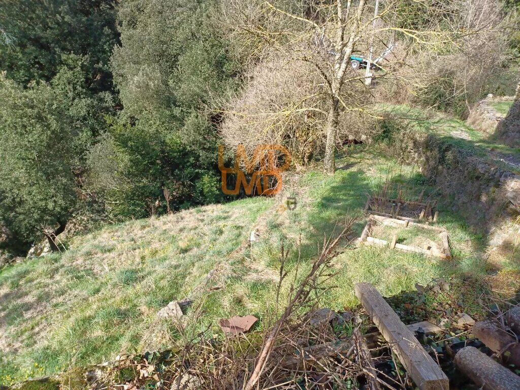 Photo 11 : Maison en pierre - Vue panoramique - Terrain