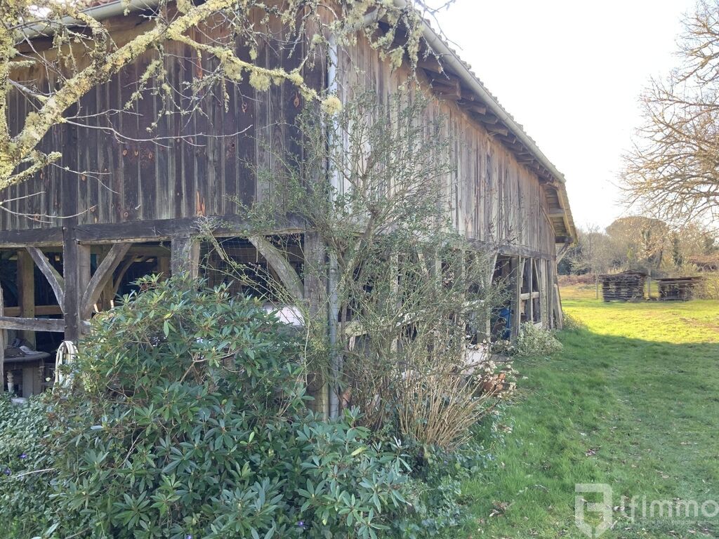 Photo 6 : Propriété de caractère