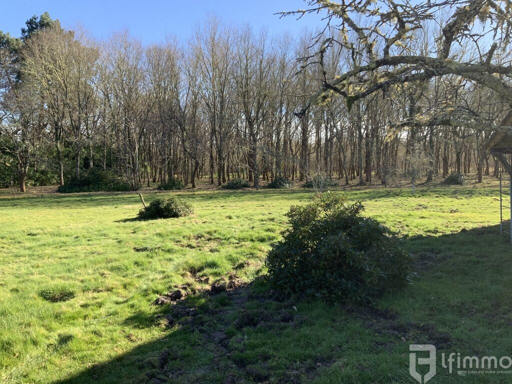 Photo 7 : Propriété de caractère