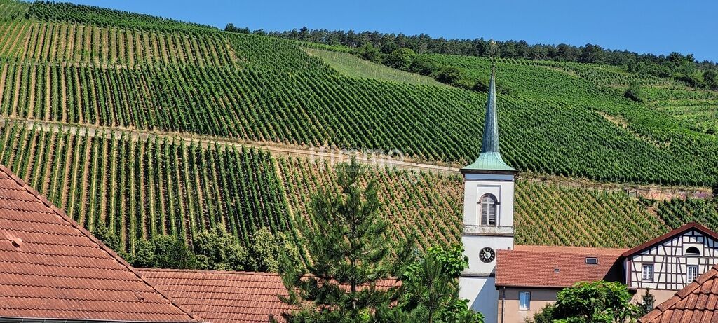 Photo 9 : Maison bourgeoise 277m2 sur 12,5 ares