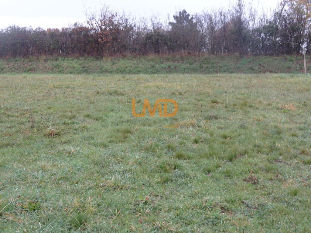 Photo 2 : Terrain zone artisanale