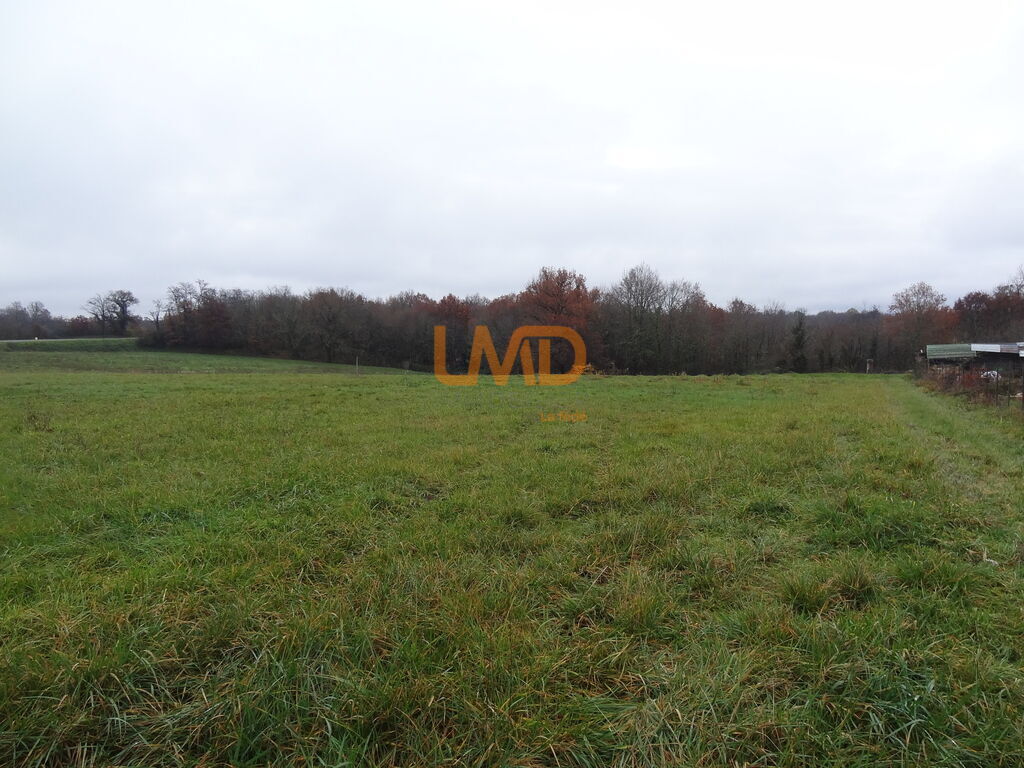 Photo 3 : Terrain zone artisanale