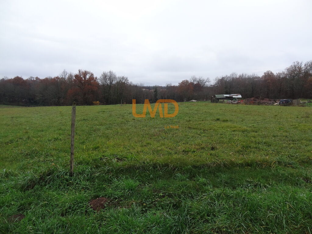 Photo 4 : Terrain zone artisanale