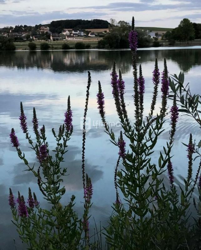 Photo 14 : Architecture & confort – Maison de 147 m² à 45 mns de Paris